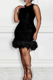 woloong - Black Daily Party Elegant Simplicity Patchwork Feathers Solid Color O Neck Sleeveless Dress Dresses