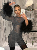 Woloong Fashion Sexy Feather Patchwork Long Sleeve Mesh Dress Women Autumn See-through Bodycon Package Hip Party Night Club Dresses