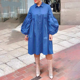 Women Dress  Autumn Turn Down Neck Long Lantern Sleeve Dresses  Bohemain Vestidos Knee-Length Sundress