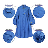 Women Dress  Autumn Turn Down Neck Long Lantern Sleeve Dresses  Bohemain Vestidos Knee-Length Sundress