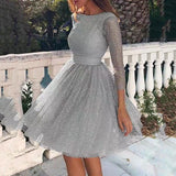 summer  Popular trade new women's dress wish  round neck long sleeve perspective sexy dress