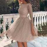 summer  Popular trade new women's dress wish  round neck long sleeve perspective sexy dress