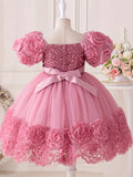 Toddler Girl's Flower Applique Dress Sequin Wedding Birthday Party Baptism Tutu Dress Christmas Ball Gown