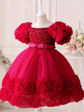 Toddler Girl's Flower Applique Dress Sequin Wedding Birthday Party Baptism Tutu Dress Christmas Ball Gown