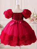 Toddler Girl's Flower Applique Dress Sequin Wedding Birthday Party Baptism Tutu Dress Christmas Ball Gown