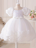 Toddler Girl's Flower Applique Dress Sequin Wedding Birthday Party Baptism Tutu Dress Christmas Ball Gown