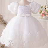 Toddler Girl's Flower Applique Dress Sequin Wedding Birthday Party Baptism Tutu Dress Christmas Ball Gown