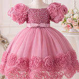 Toddler Girl's Flower Applique Dress Sequin Wedding Birthday Party Baptism Tutu Dress Christmas Ball Gown