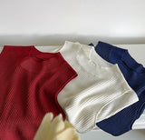 2025  spring new Korean version of half-height round neck knitted sweater sleeveless inside and outside vest top 2052-1
