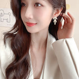 2025 Earrings for women's niche high-end zircon leaf long earrings for women's s925 silver needle exquisite versatile leaf earrings