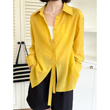 2025  spring new Korean girl style casual long-sleeved shirt women's loose high-end niche shirt 8117