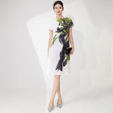 2025 Retro dress women's summer high-end feeling covers the stomach, loose printing temperament elegant medium and long pleated skirt Popular style