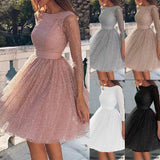 summer  Popular trade new women's dress wish  round neck long sleeve perspective sexy dress