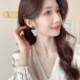 2025 Heavy Industry Personality Creative Fruit Grape Earrings Women's S925 Silver Needle Niche Light Luxury Design  Dinner Earrings