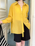 2025  spring new Korean girl style casual long-sleeved shirt women's loose high-end niche shirt 8117