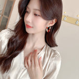 2025 Chinese autumn and winter retro Ankara red circle earrings s925 silver needle celebrity temperament earrings fashion zircon earrings