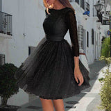 summer  Popular trade new women's dress wish  round neck long sleeve perspective sexy dress