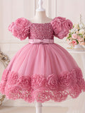 Toddler Girl's Flower Applique Dress Sequin Wedding Birthday Party Baptism Tutu Dress Christmas Ball Gown