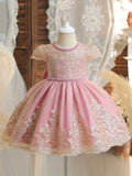 Adorable Baby Girls Crew Neck Tutu Party Dress - Flower Embroidered, Non-Stretch Polyester, Regular Fit, Hand Washable, Random Print, All-Season Wear for Wedding, Formal Occasions and Birthday Celebrations