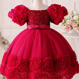 Toddler Girl's Flower Applique Dress Sequin Wedding Birthday Party Baptism Tutu Dress Christmas Ball Gown