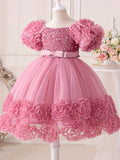 Toddler Girl's Flower Applique Dress Sequin Wedding Birthday Party Baptism Tutu Dress Christmas Ball Gown