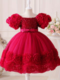 Toddler Girl's Flower Applique Dress Sequin Wedding Birthday Party Baptism Tutu Dress Christmas Ball Gown