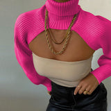 Fashion Autumn Women Female Solid Color High Collar Long Sleeve Mini Sweater Knitwear Pullover Black/Apricot