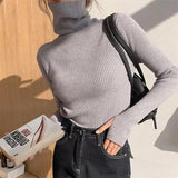 Simple Turtleneck Sweater Women Autumn Winter Casual Solid Color Slim Elastic Knit Pullover Female Soft Warm Jumper Basic Tops