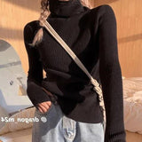 Simple Turtleneck Sweater Women Autumn Winter Casual Solid Color Slim Elastic Knit Pullover Female Soft Warm Jumper Basic Tops